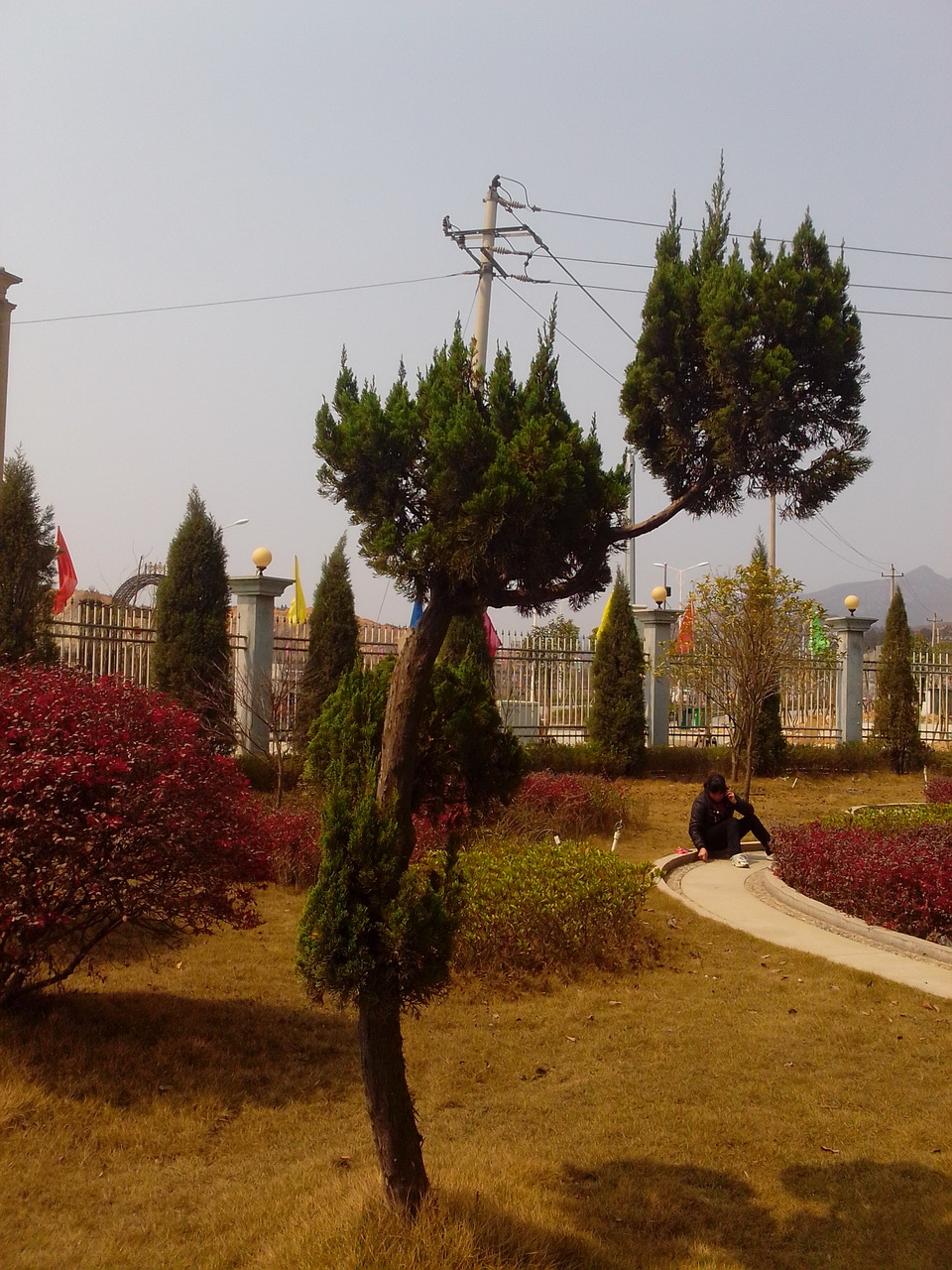 图片[5]-公司办公楼侧边那酷似美景的风景-万荀网