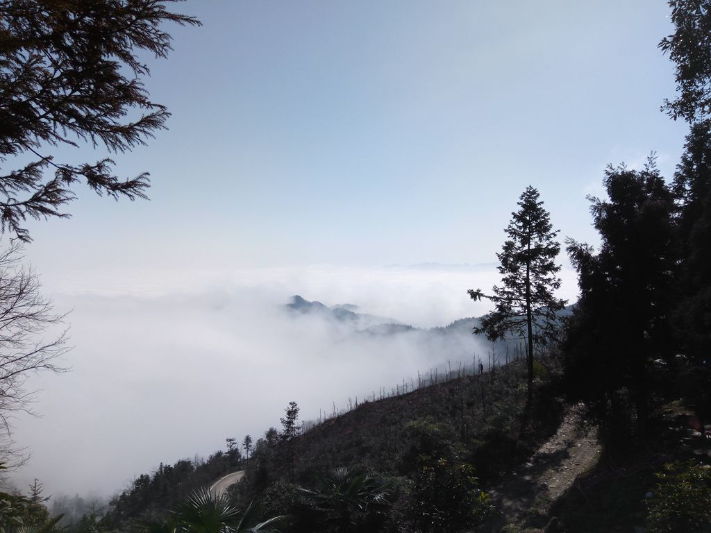 新年伊始-登山减脂,大雾深山行之【浮丘圣地】-万荀网