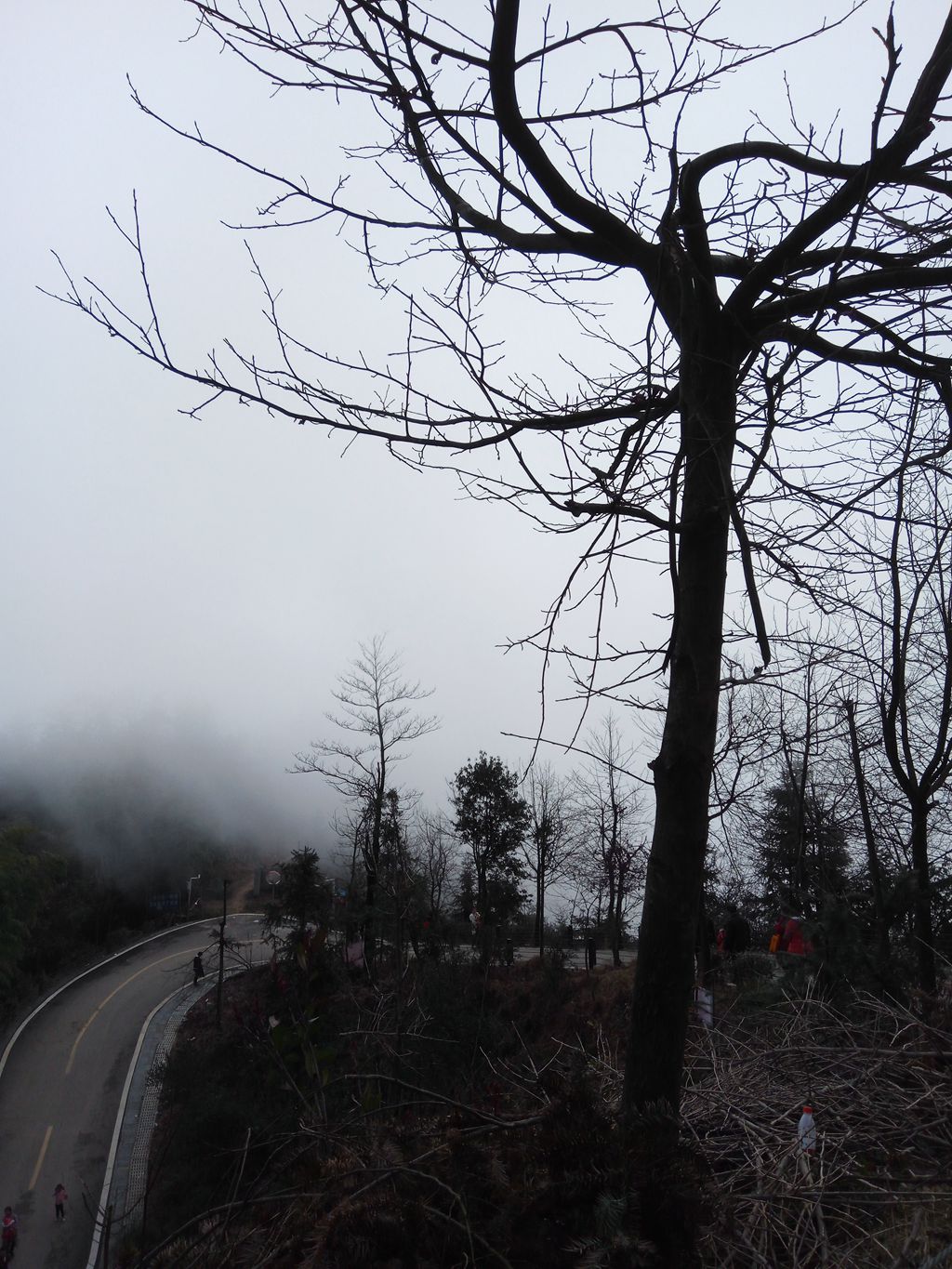 图片[5]-新年伊始-登山减脂，大雾深山行之【浮丘圣地】-万荀网