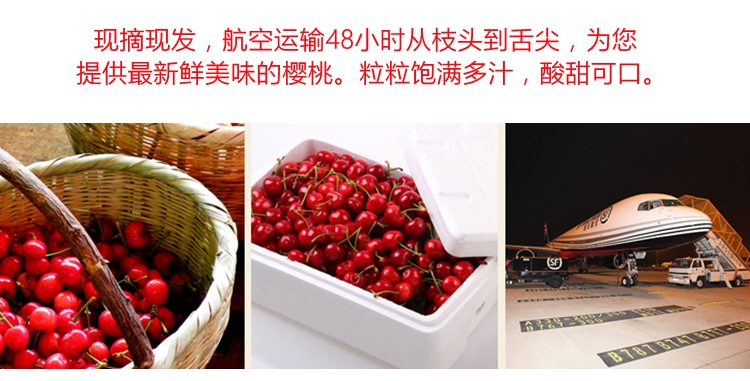图片[11]-山东大樱桃新鲜水果，5斤装顺丰空运包邮只要168元-万荀网