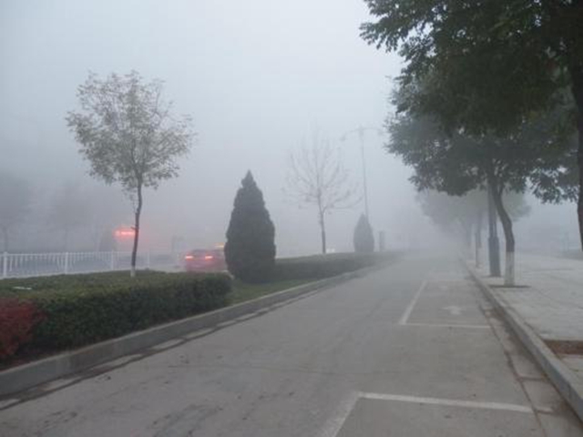 图片[5]-到底在什么时候不适合晨练，哪种天气不适合晨练-万荀网