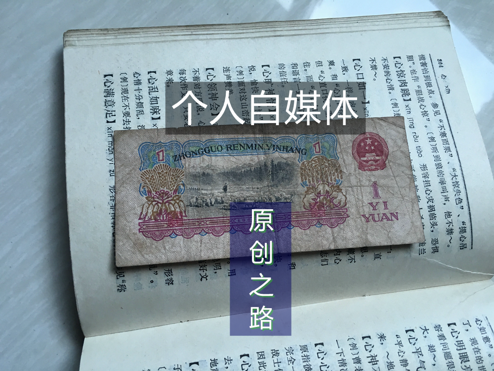 什么才是真正的原创个人自媒体,用一棵树分析到底怎样做好自媒体-万荀网