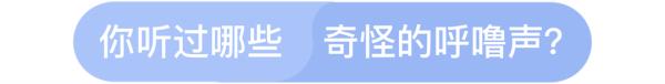 图片[5]-怎样的人容易打呼噜？这是一篇有声音的文章-万荀网