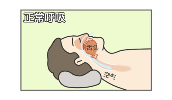 图片[3]-怎样的人容易打呼噜？这是一篇有声音的文章-万荀网