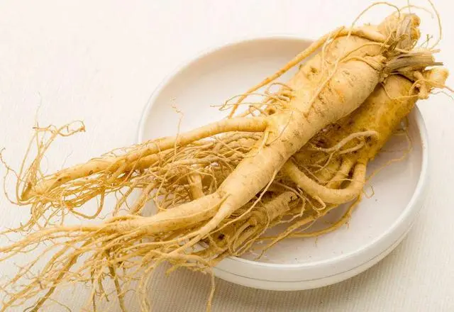 人参-万荀网