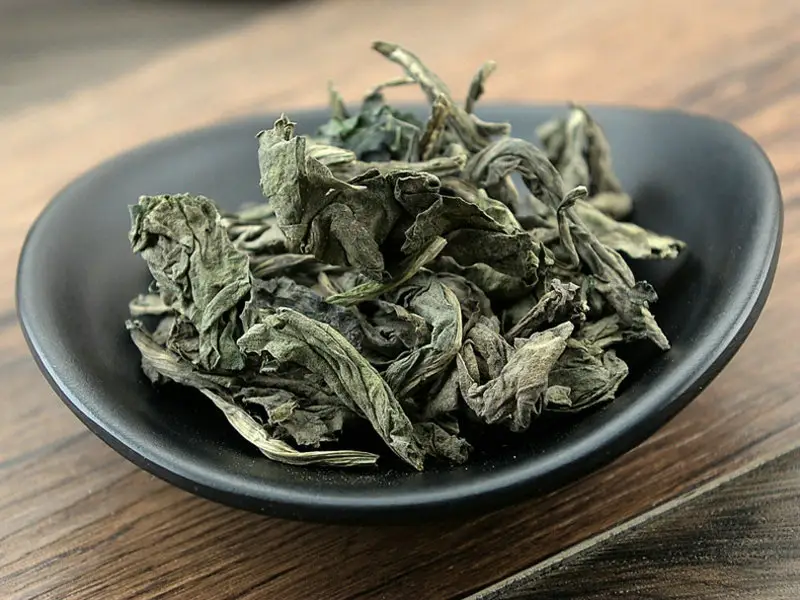 图片[1]-清热解毒,凉血消斑,温病高热,神昏,发斑发疹,痄腮,喉痹,丹毒,痈肿