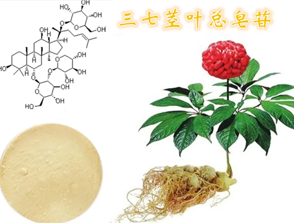 图片[1]-三七总皂苷-万荀网
