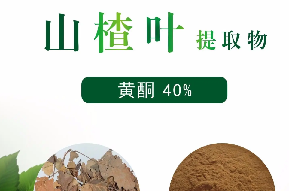 图片[1]-山楂叶提取物-万荀网