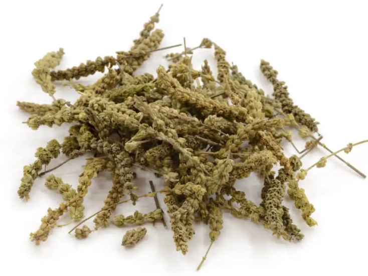 荆芥穗-万荀网