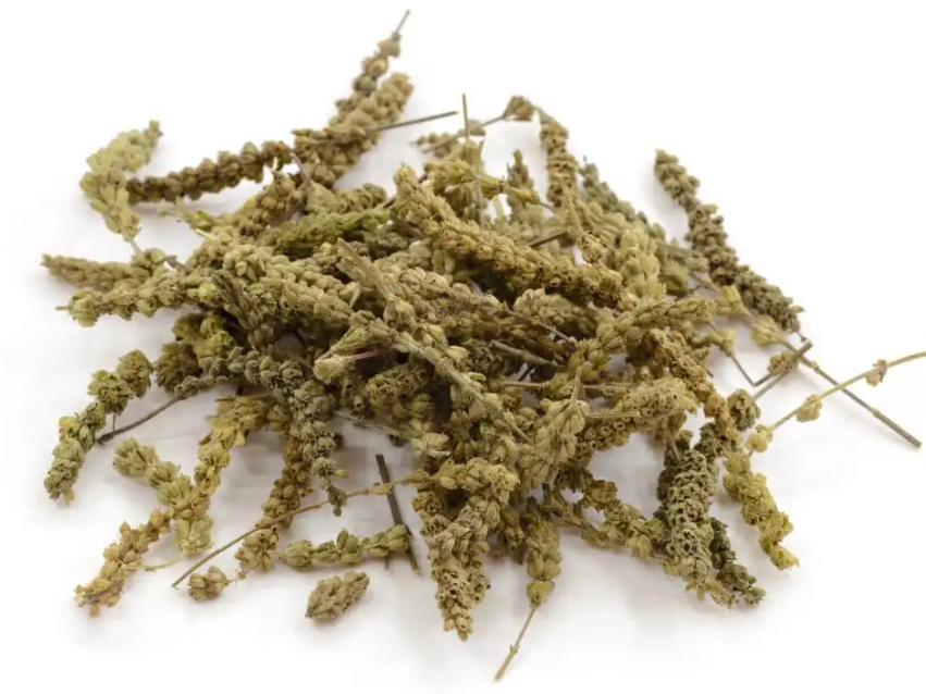 图片[1]-荆芥穗-万荀网