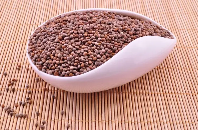 紫苏子-万荀网