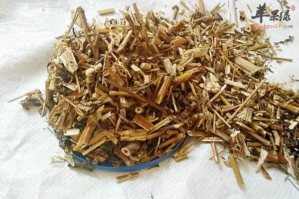 洪连-万荀网