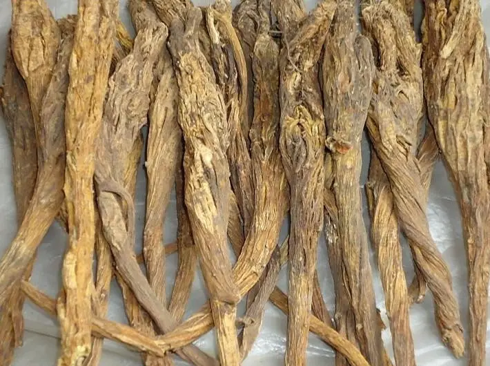 秦艽-万荀网